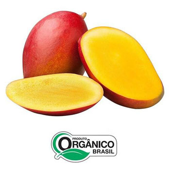 MANGA PALMER BEE 800G ORG