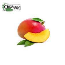 MANGA PALMER ORGANICO 500G