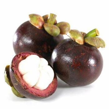 MANGOSTIN 1KG BDJ