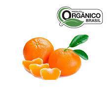 MEXERICA CARIOCA BEE 500G ORG