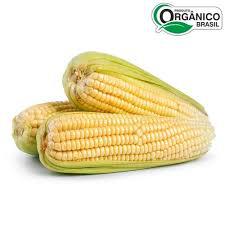 MILHO VERDE FLD 500G ORGANICO