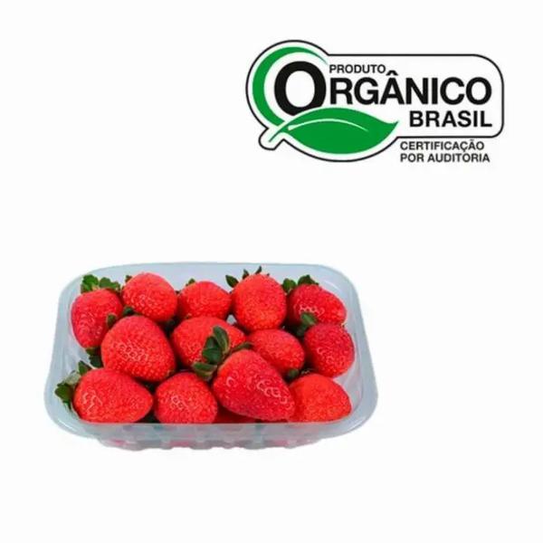MORANGO ORGANICO 250G