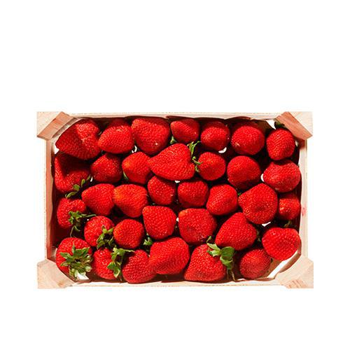 MORANGO PREMIUM 900GR BDJ