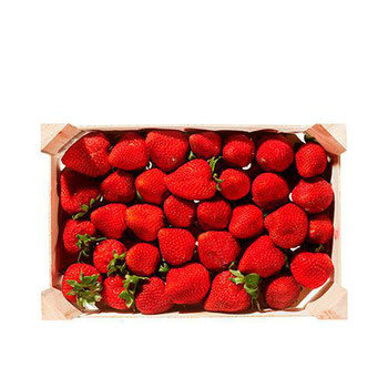 MORANGO PREMIUM 900GR BDJ