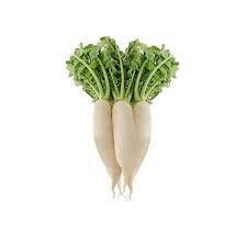 NABO CAMINHO DA ROCA UNID.