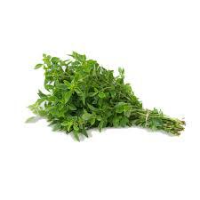 OREGANO UN