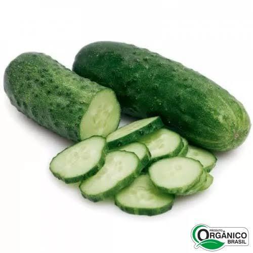 PEPINO CAIPIRA CAMINHO DA ROCA 500G ORG