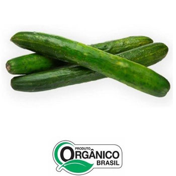 PEPINO JAPONES BEE 400G ORG