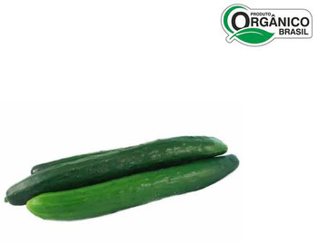 PEPINO JAPONES CAMINHO DA ROCA 600G ORG