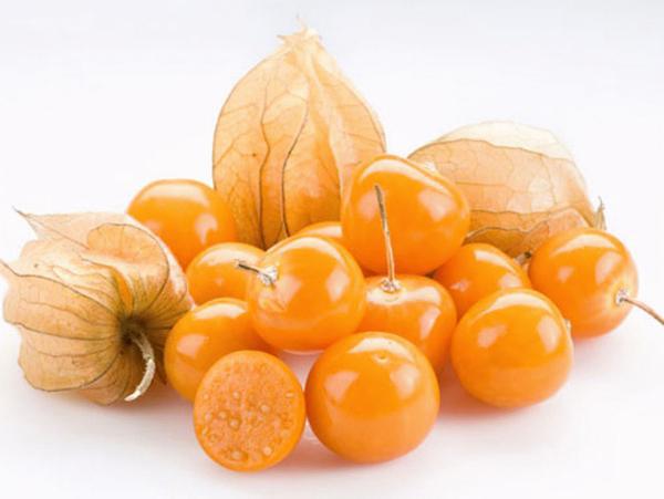 PHYSALIS 100GR S/ CASCA
