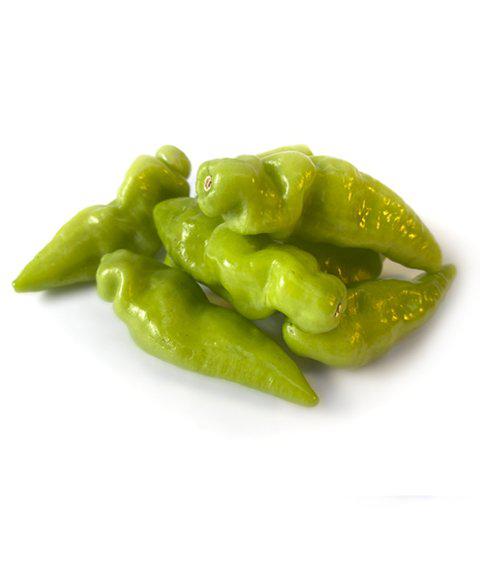PIMENTA CHEIRO DOCE BDJ UN