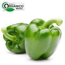 PIMENTAO VERDE BEE 400G ORG