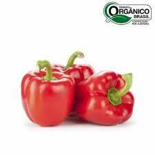 PIMENTAO VERMELHO BEE 400G ORG