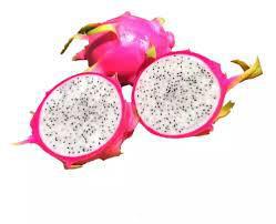 PITAYA BRANCA UN