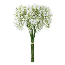 PORVINHA MAÇO MOSQUITINHO