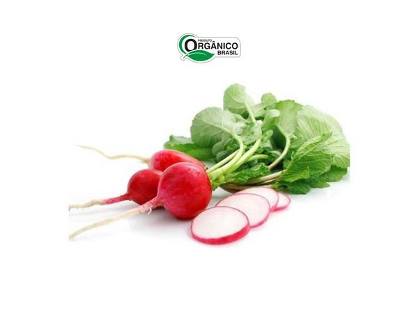 RABANETE CAMINHO DA ROCA 600G ORG