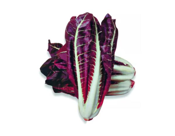 RADICCHIO PIEMONTESE BEE 350G ORG