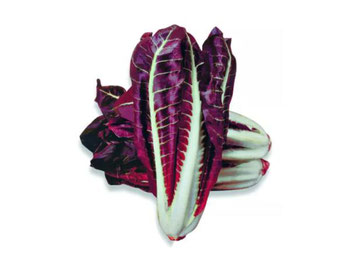 RADICCHIO PIEMONTESE BEE 350G ORG