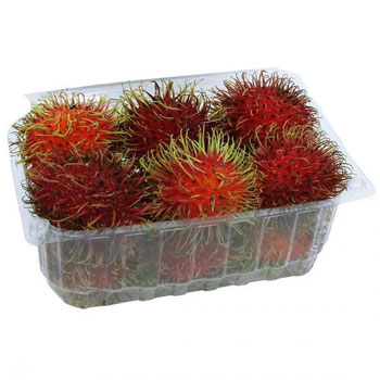 RAMBUTAN BDJ