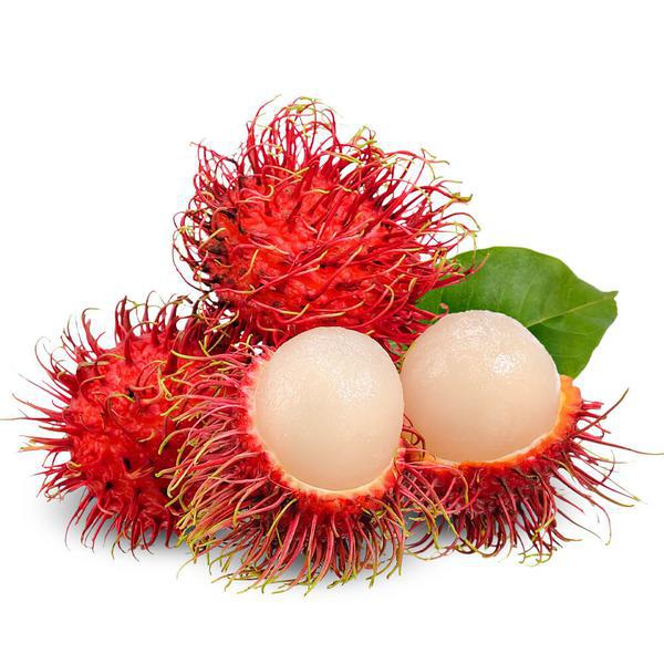 RAMBUTAN KG