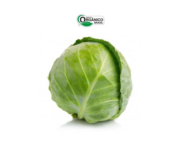 REPOLHO VERDE CAMINHO DA ROCA ORG