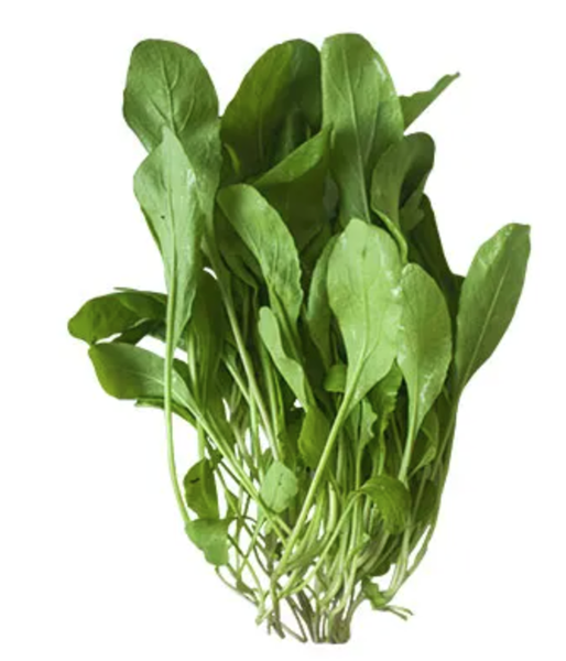 RUCULA BABY CIA DAS FOLHAS UN