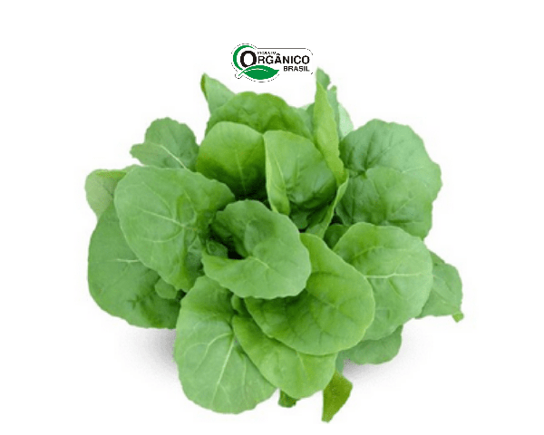 RUCULA CAMINHO DA ROCA 200G ORG