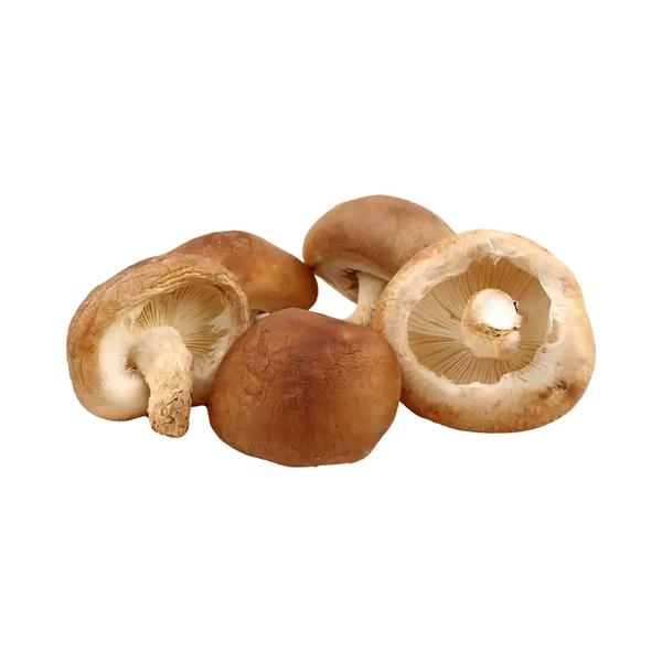 SHITAKE HOCHIBRA 200G