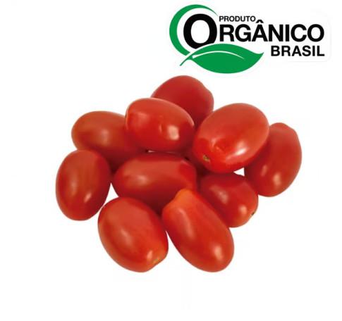 TOMATE GRAPE CAMINHO DA ROCA 180G ORG