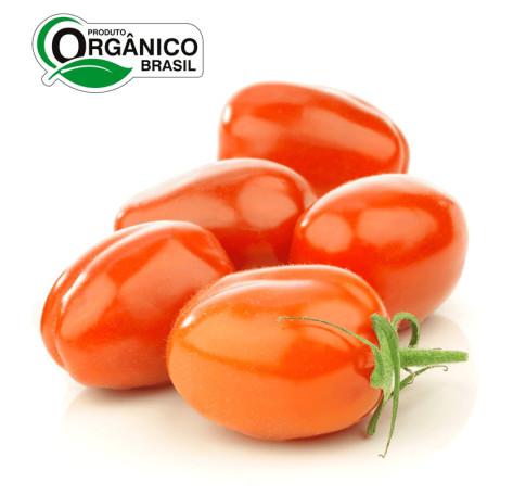 TOMATE ITALIANO BEE 1KG ORG