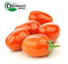 TOMATE ITALIANO BEE 500G ORG