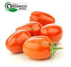 TOMATE ITALIANO CAISP 500G ORG