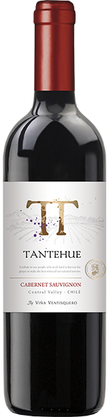 VINHO TANTEHUE 750ML CABERNET SAUV.