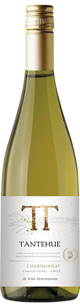 VINHO TANTEHUE 750ML CHARDONNAY