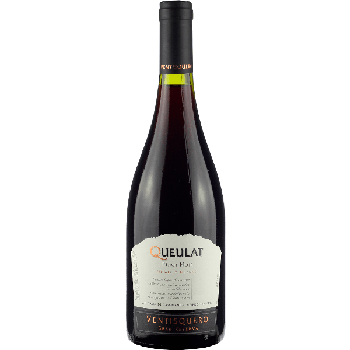 VINHO VENTISQUERO QUEULAT 750ML PINOT NO