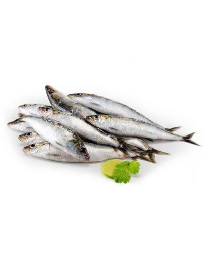 AC P SARDINHA SALGADA KG