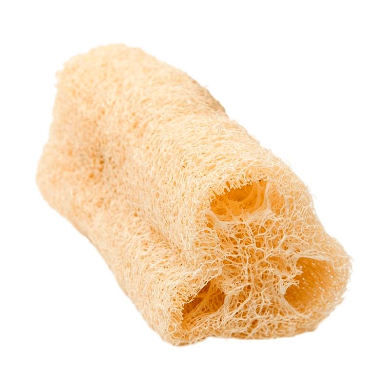 MVAS ESPONJAS BUCHA VEGETAL