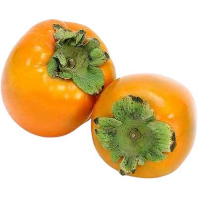 FLV FRUT CAQUI CHOCOLATE