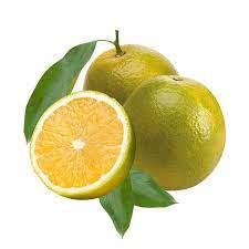 FLV FRUT LARANJA PERA KG