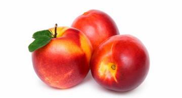 FLV FRUT NECTARINA KG