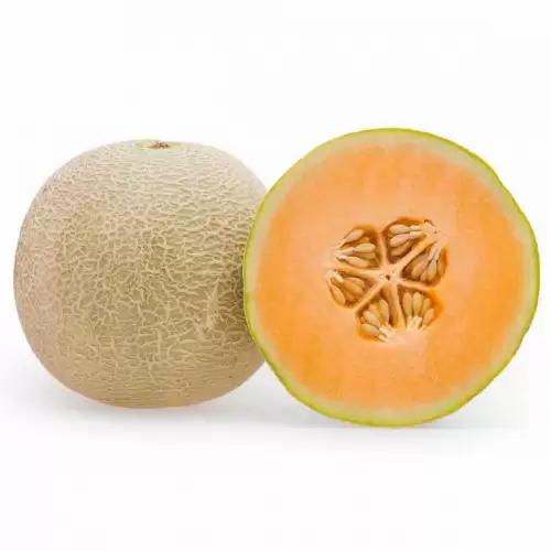 MELAO GALIA KG