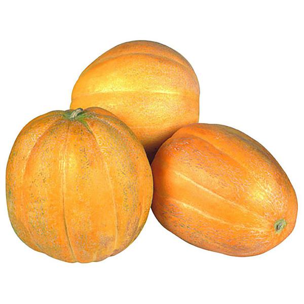 MELAO GAUCHO KG