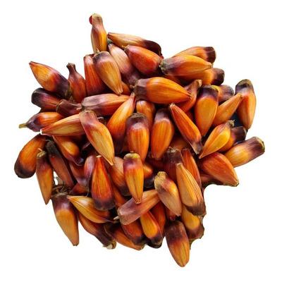PINHAO KG
