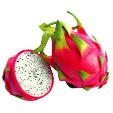 PITAYA KG