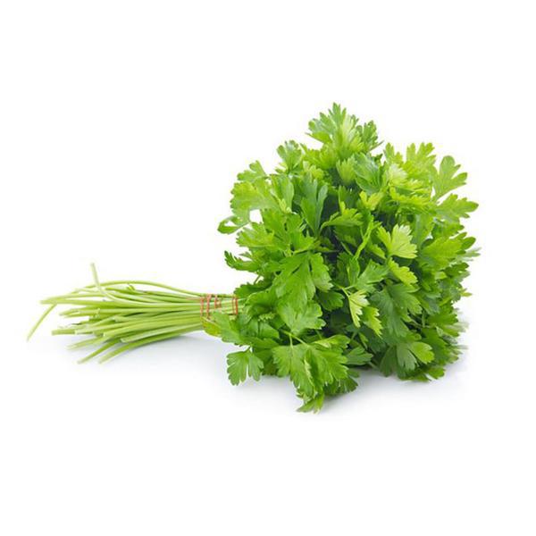 SALSA UN