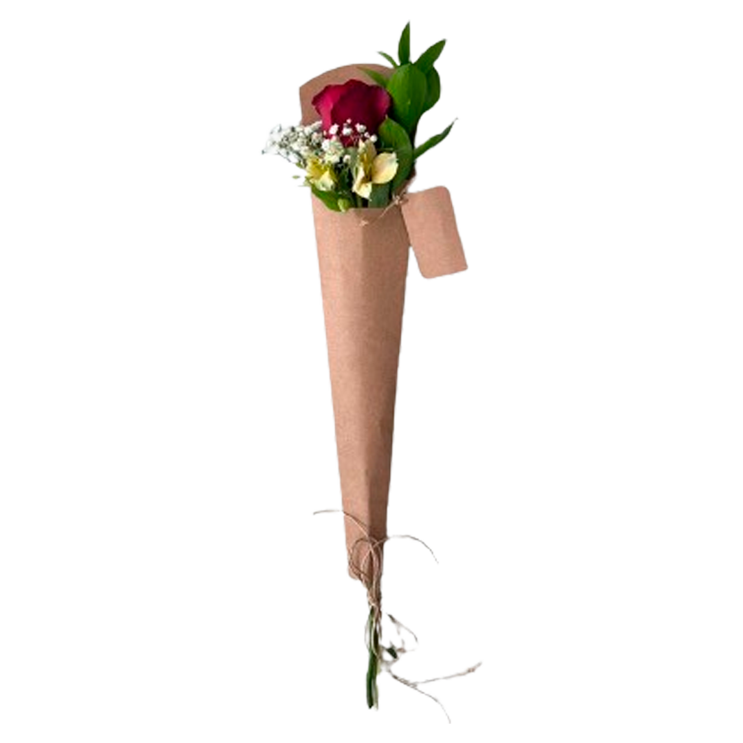 FL/PL ROSA PREMIUM UN