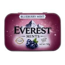 BALA EVEREST SUGAR FREE 50G BLUEBERRY