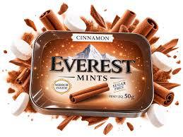 BALA EVEREST SUGAR FREE 50G CINNAMON
