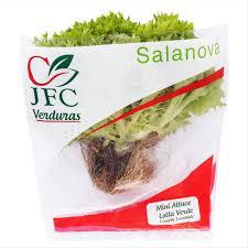 MINI ALFACE JFC LOLLA VERDE UN