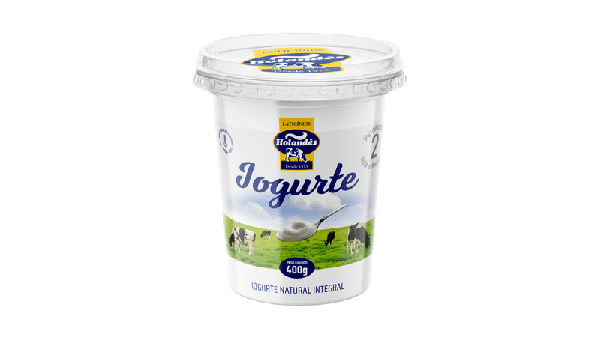 Iogurte Pote Holandes 400g Natural Firme